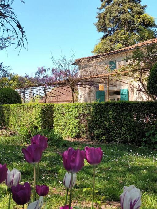 Апартаменты Charmant Studio Avec Jardin A La Campagne Sur Le Chemin De Saint Jacques De Compostelle Лозерт Экстерьер фото